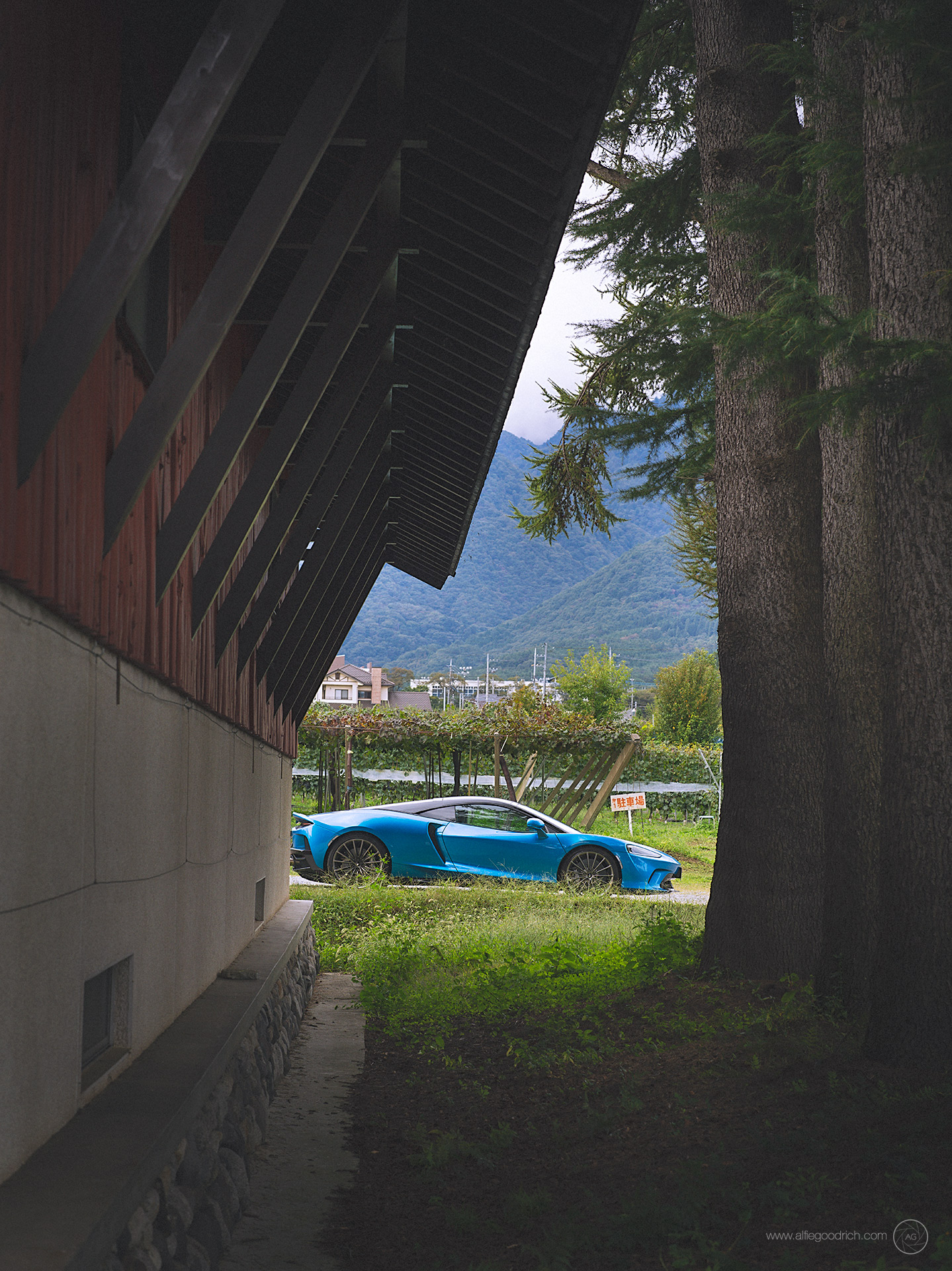 Vineyards of Yamanashi