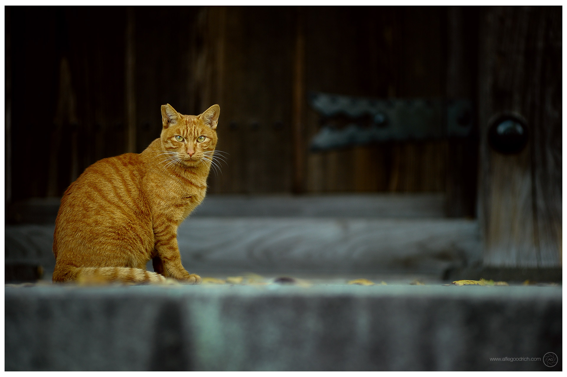 30mins in Kuhombutsu