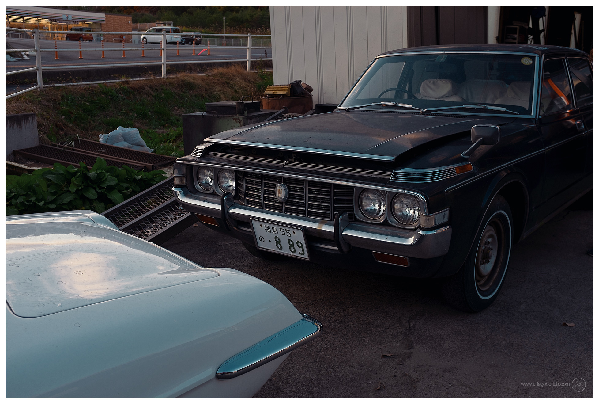 Cars in the Wild, Part1