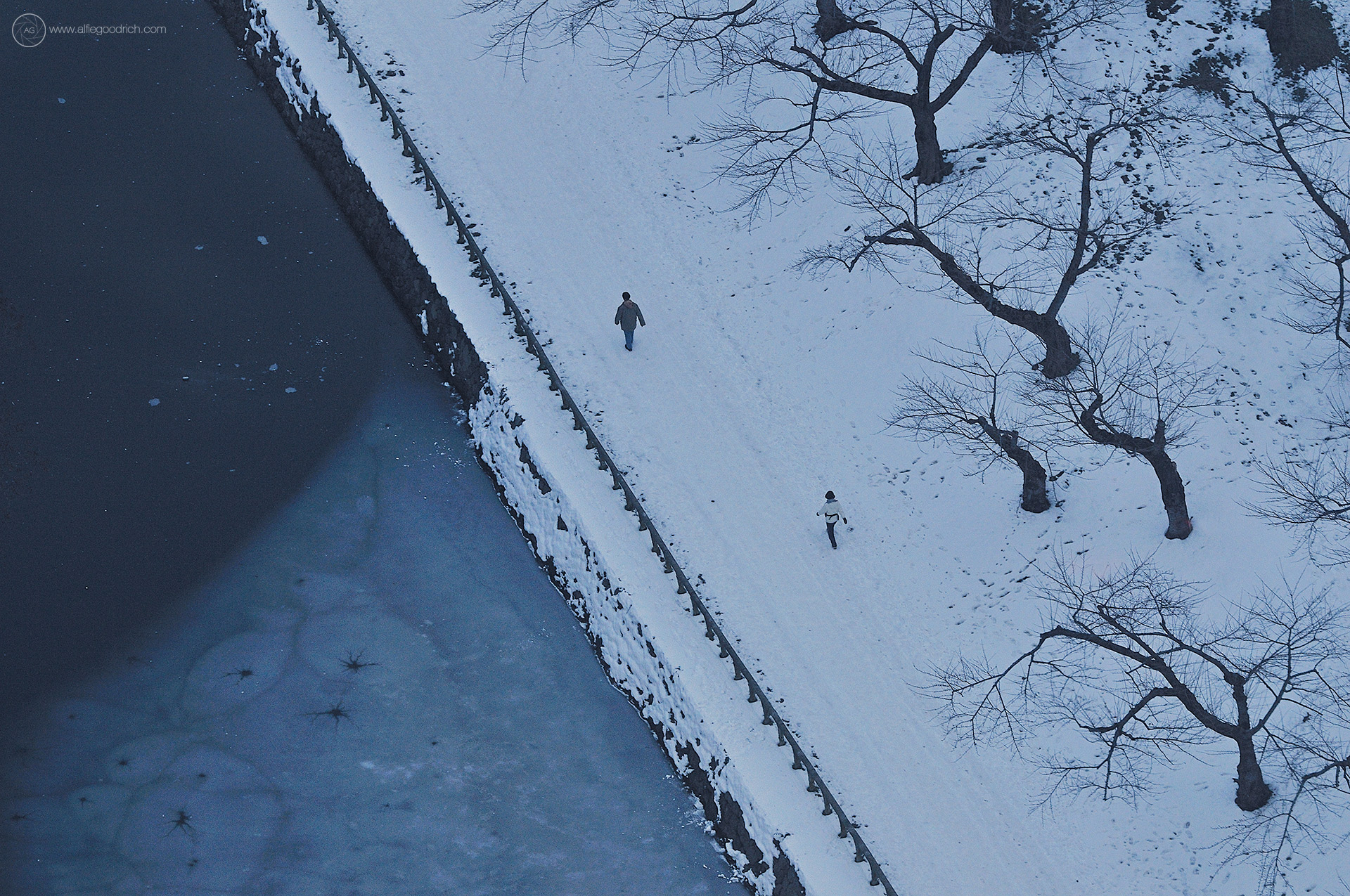 Hakodate’s Goryokaku Fort