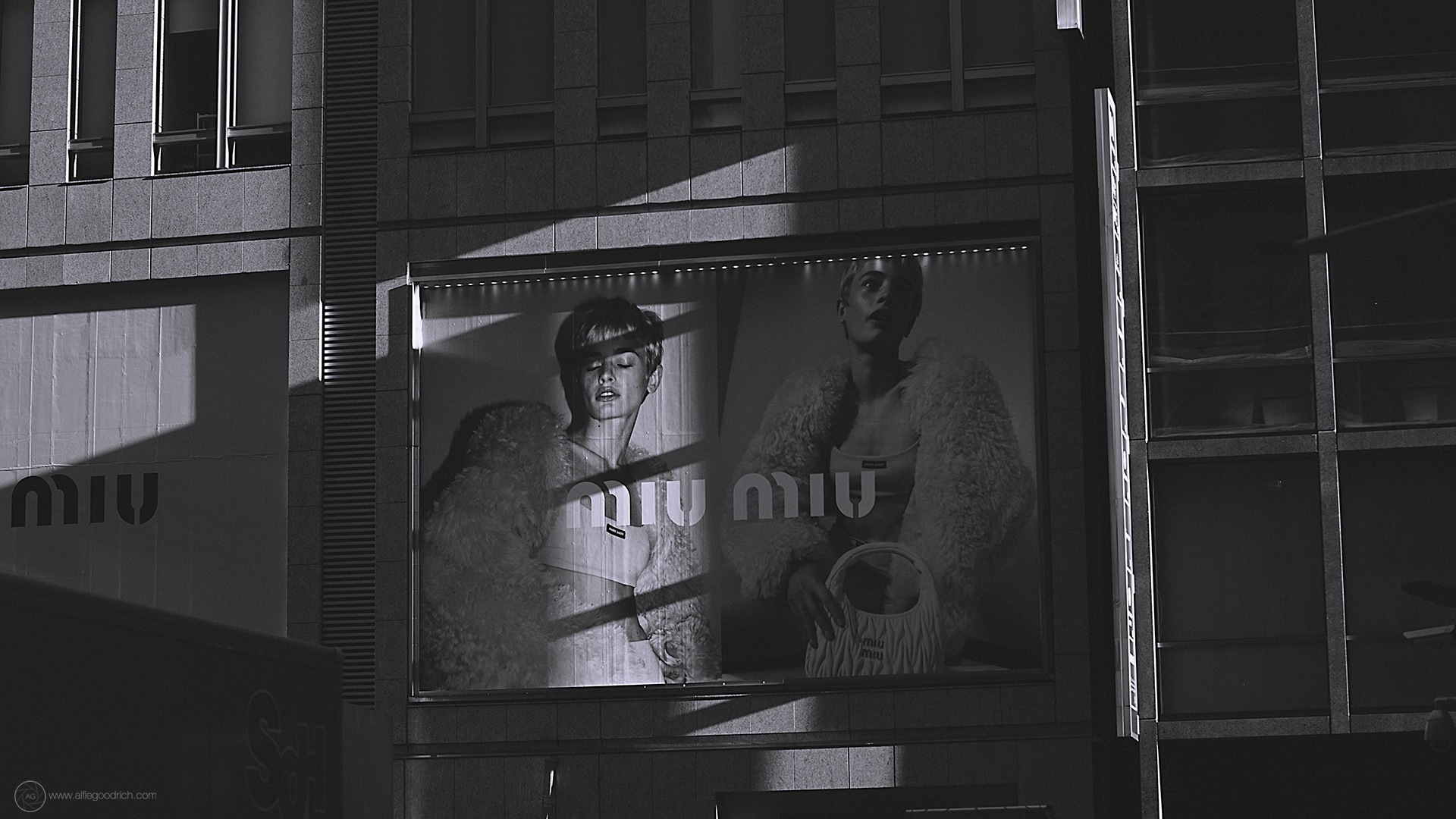 Wandering Ginza with Charlie