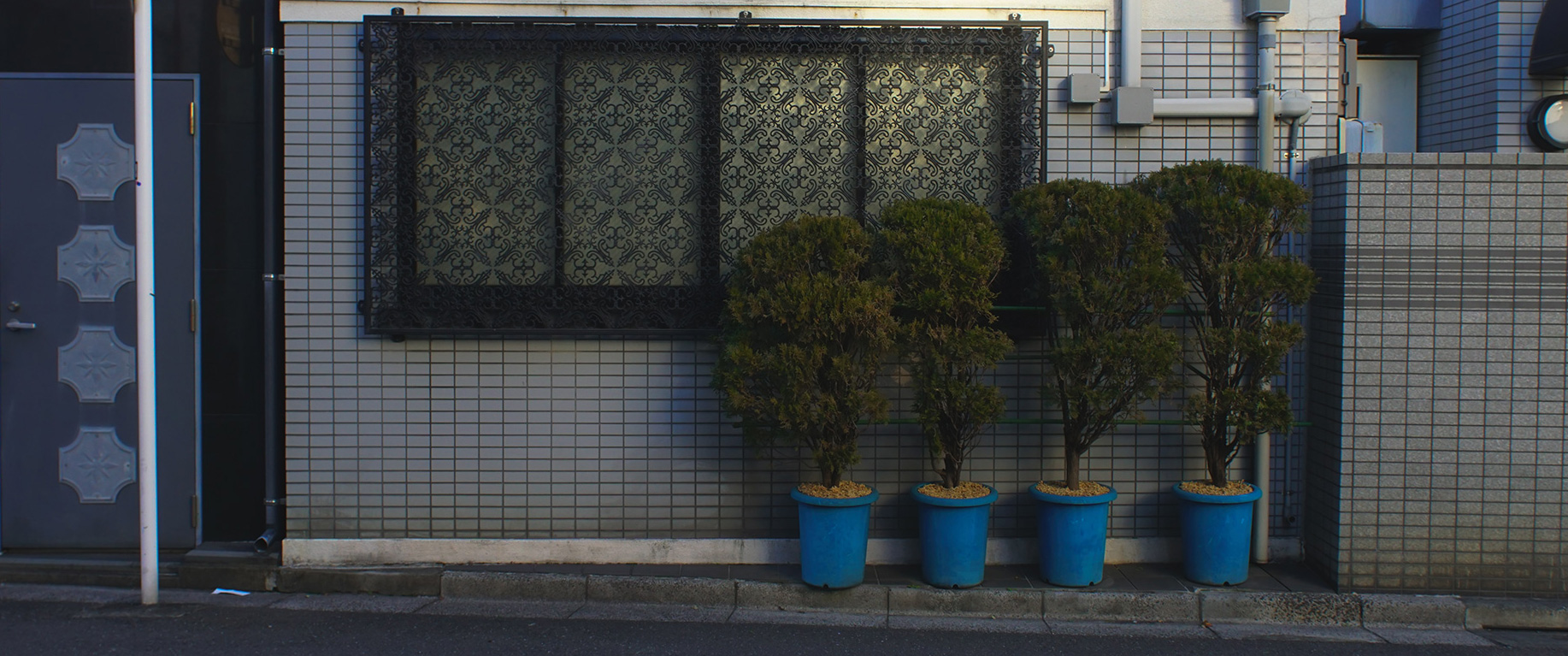 PHOTOWALKS IN TOKYO: colour street photography