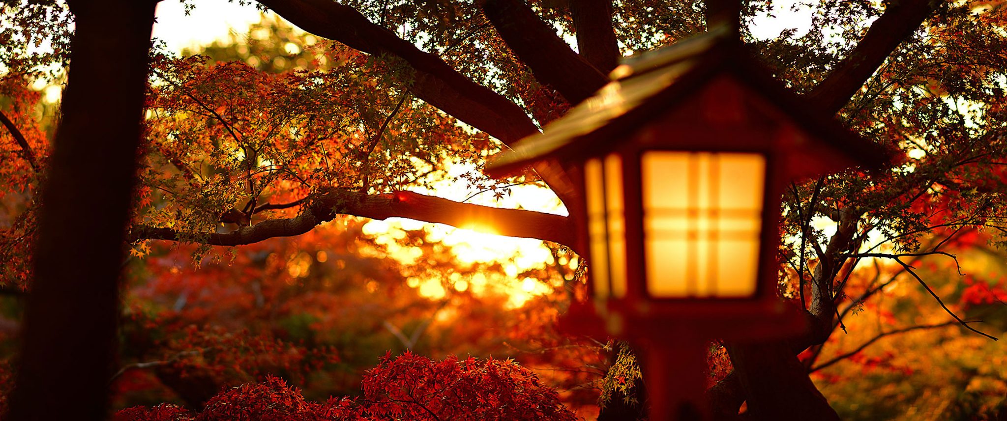 Autumn leaves in Kuhombutsu & Todoroki