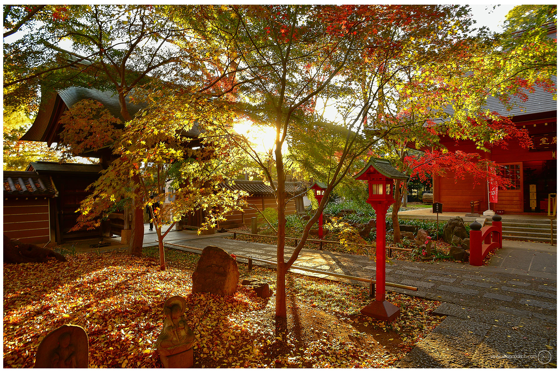 Autumn leaves in Kuhombutsu & Todoroki