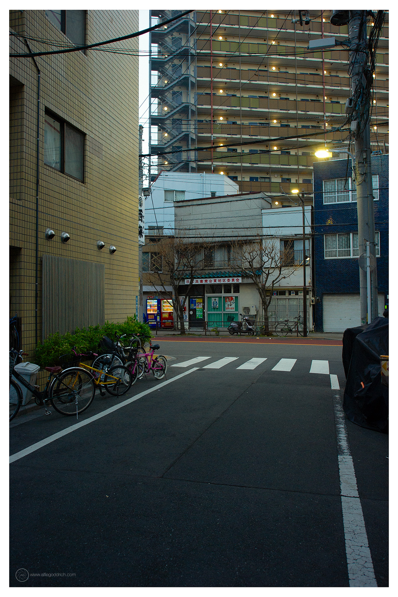 First proper Tokyo photowalk of 2024