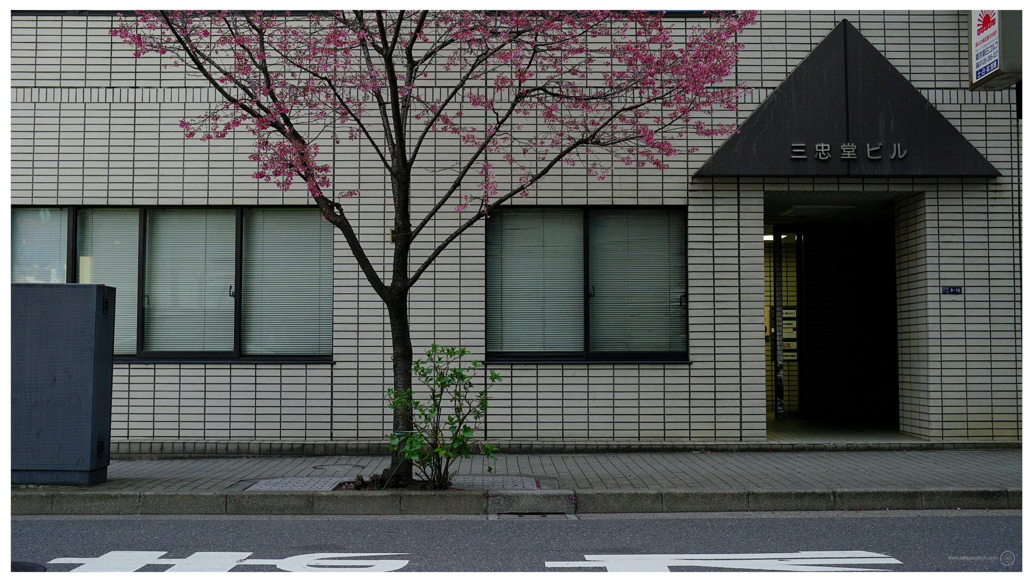 The okame-zakura, Nihonbashi