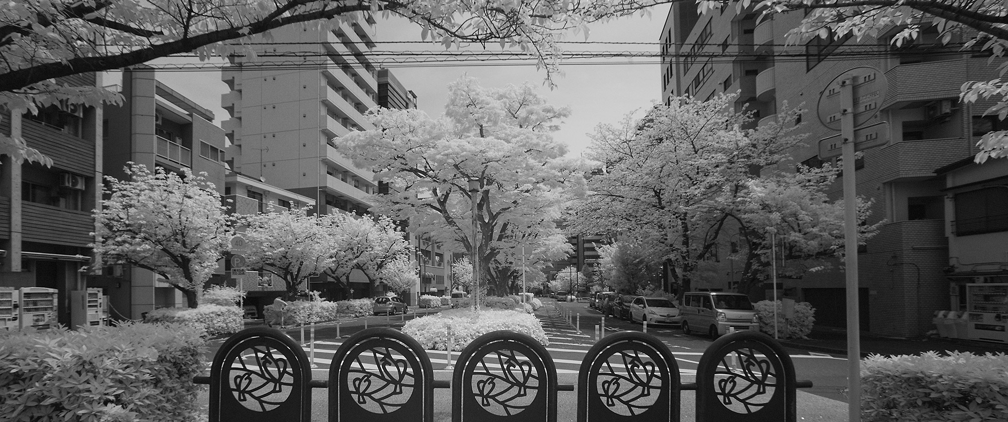 Tokyo in Infrared