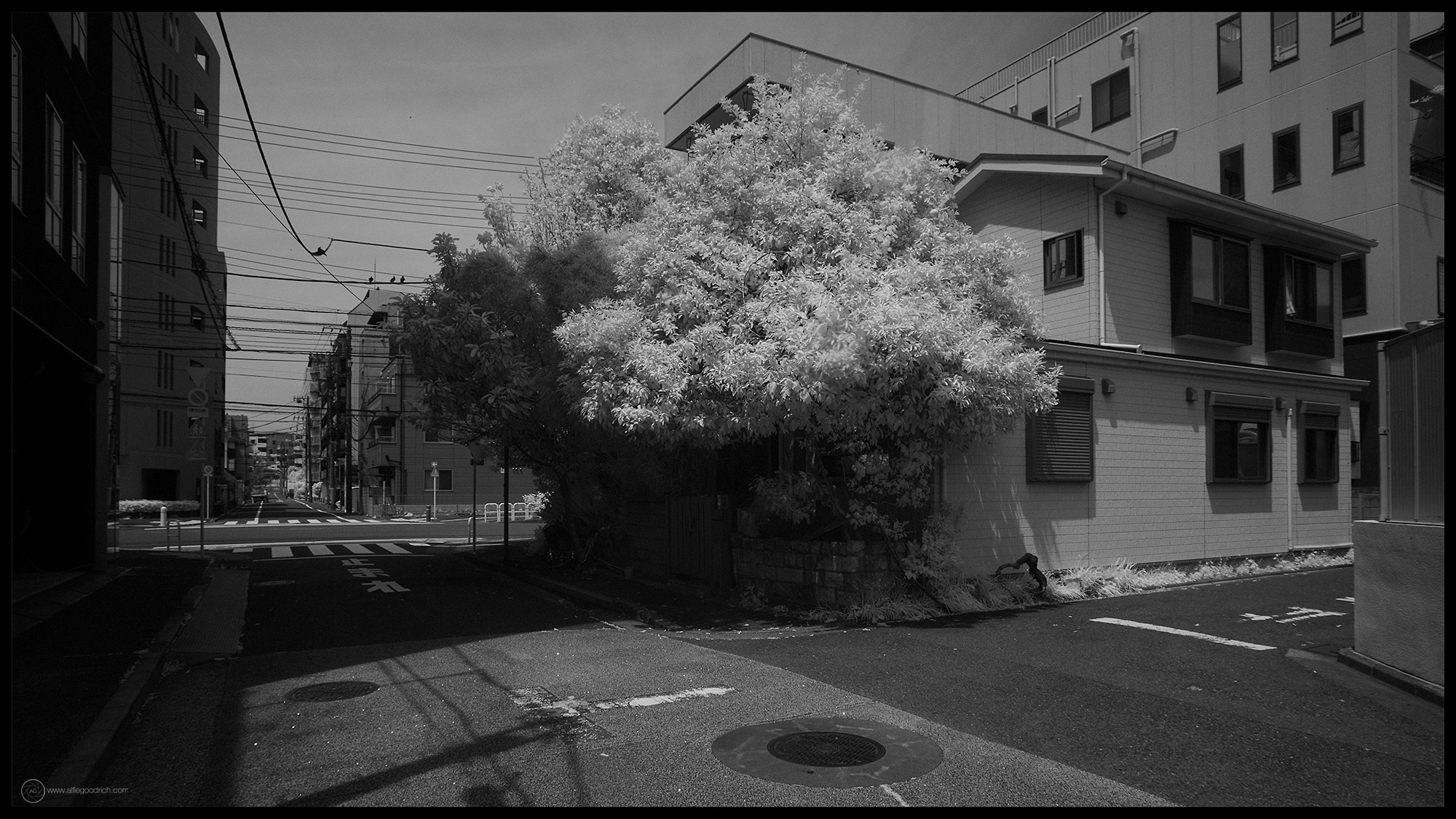 Tokyo in infrared