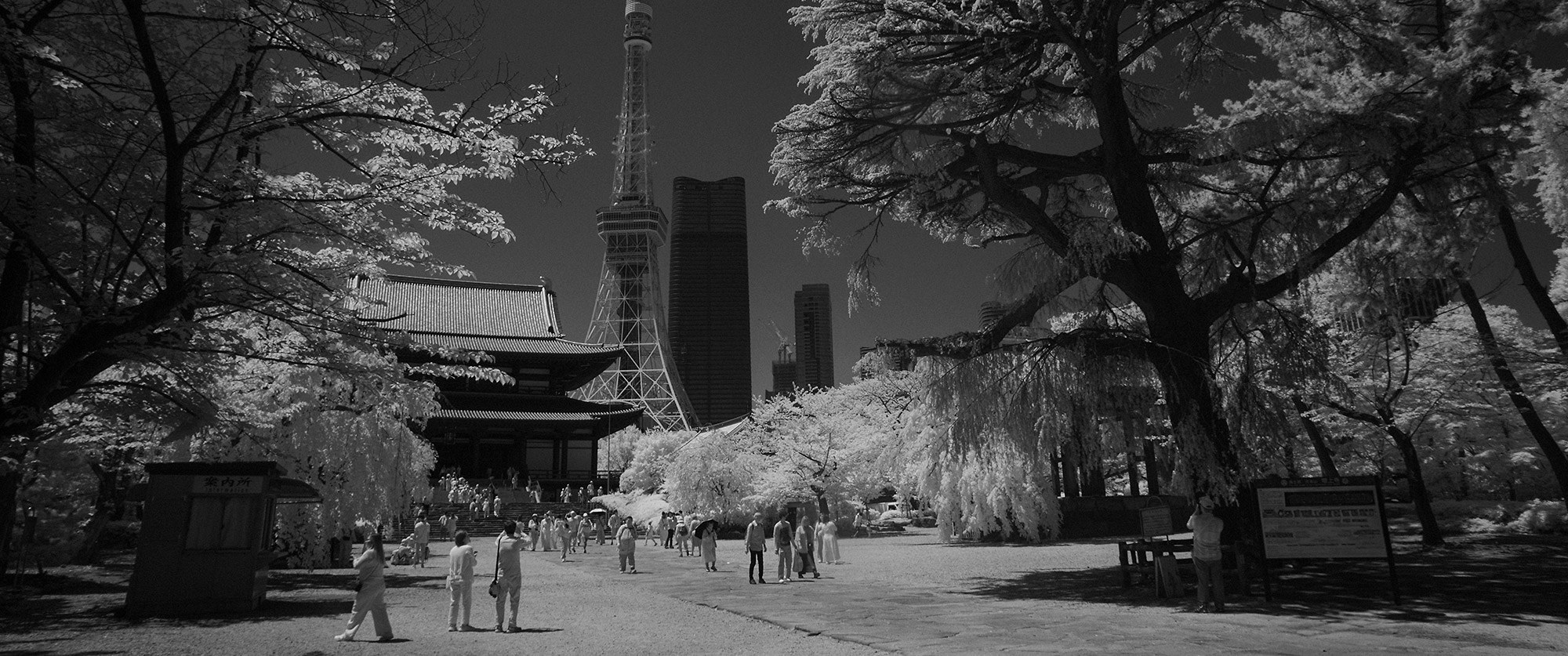 Tokyo Tower & Tamachi Streets in Infrared