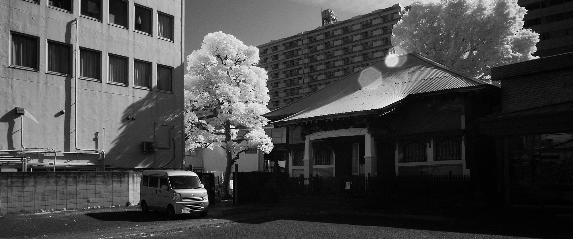 Tokyo Old & New: Shinagawa + Old Tokaido Road