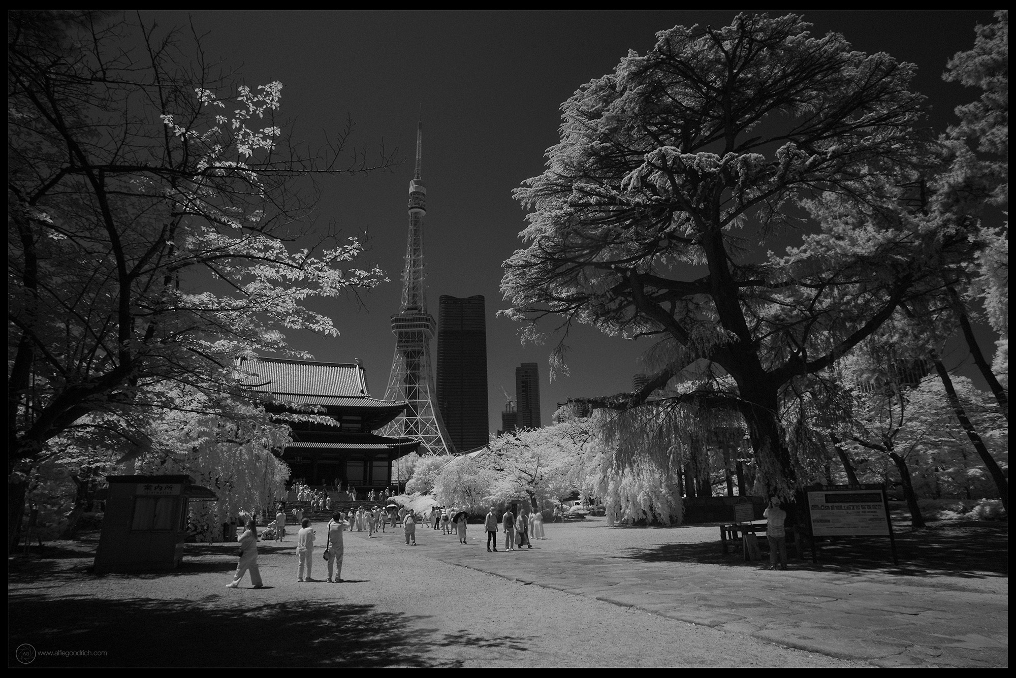 Tokyo Tower & Tamachi streets in infrared