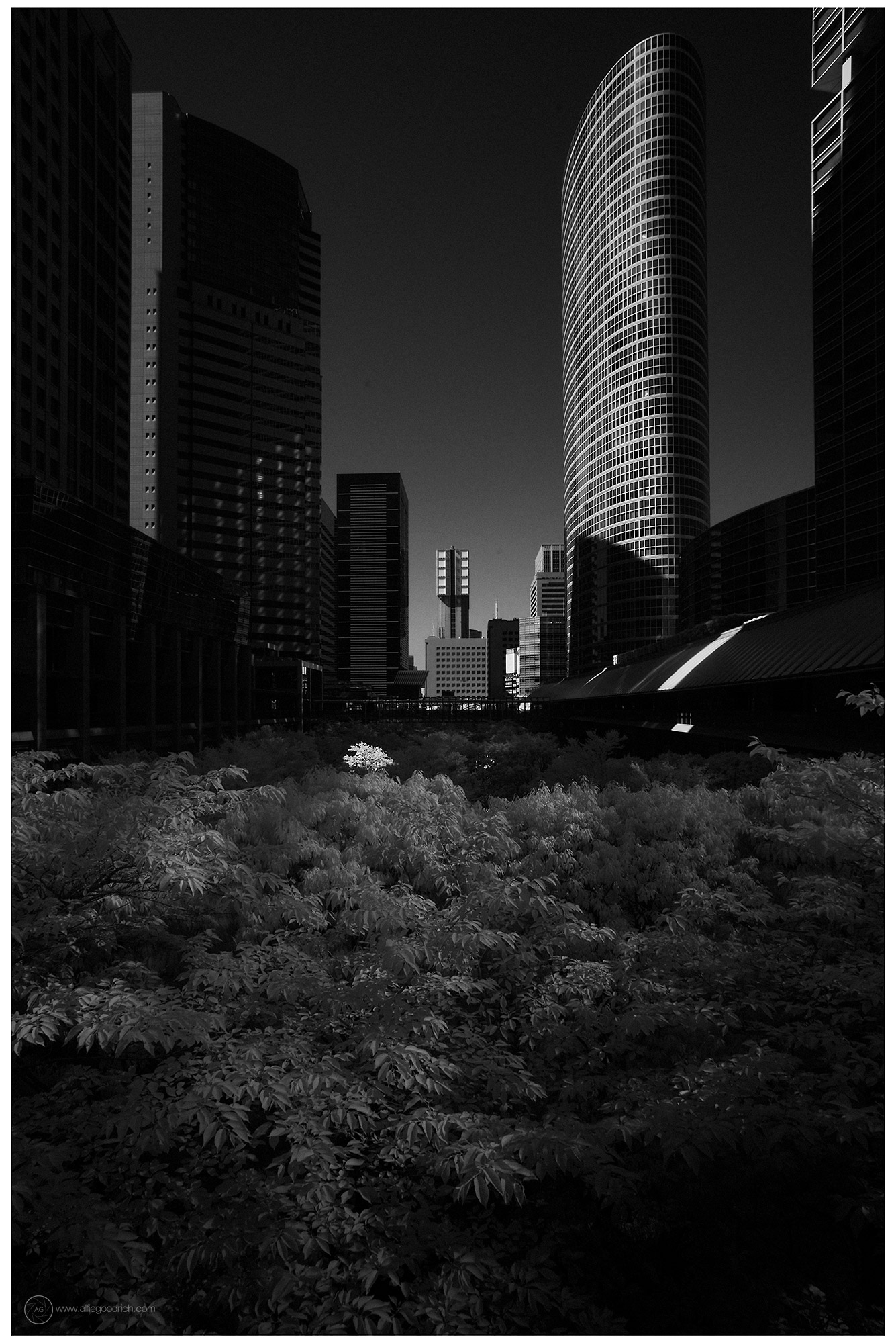 Tokyo Old and New in Shinagawa-ku