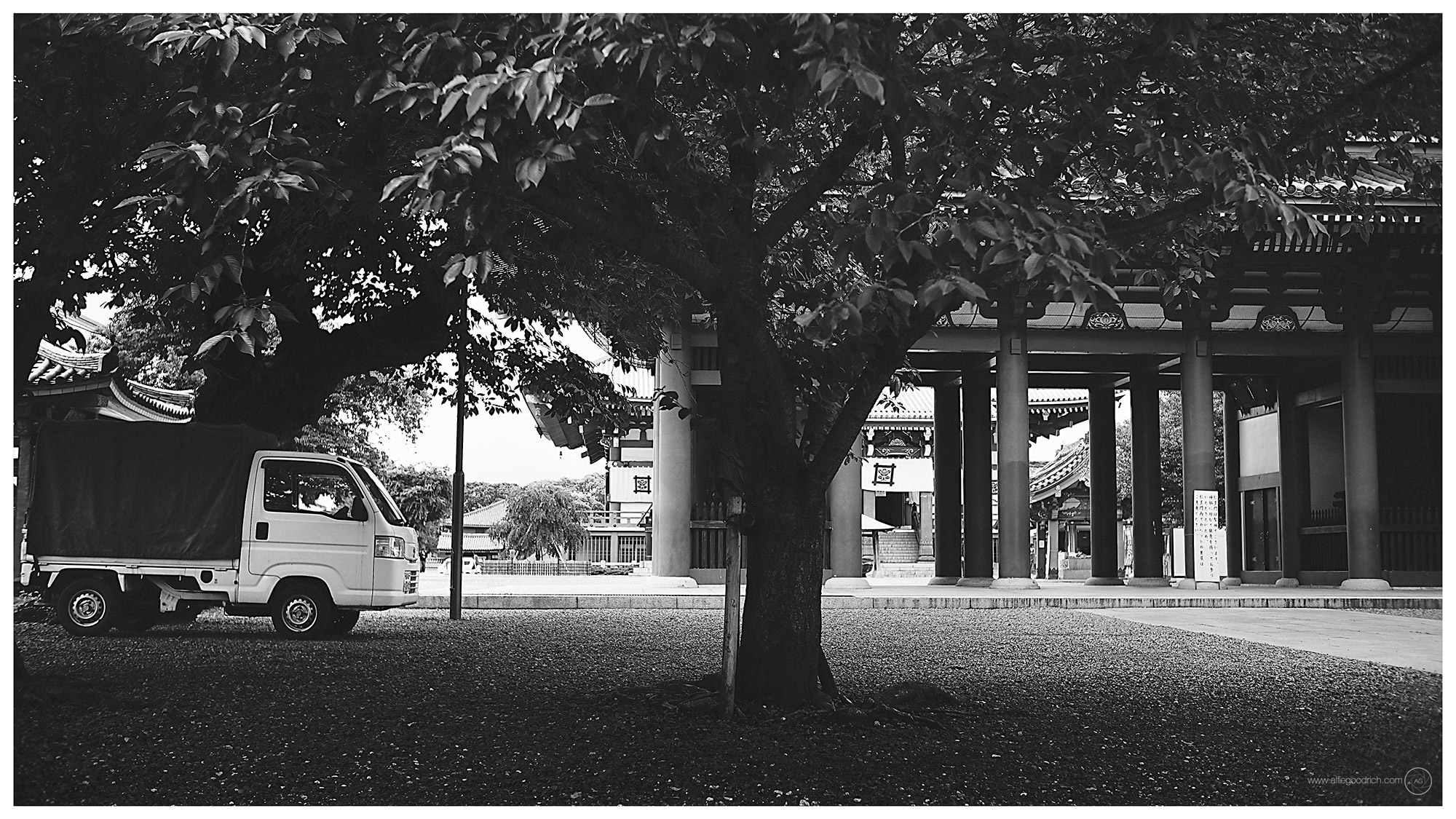 A Wander Around Ikegami Honmon-ji