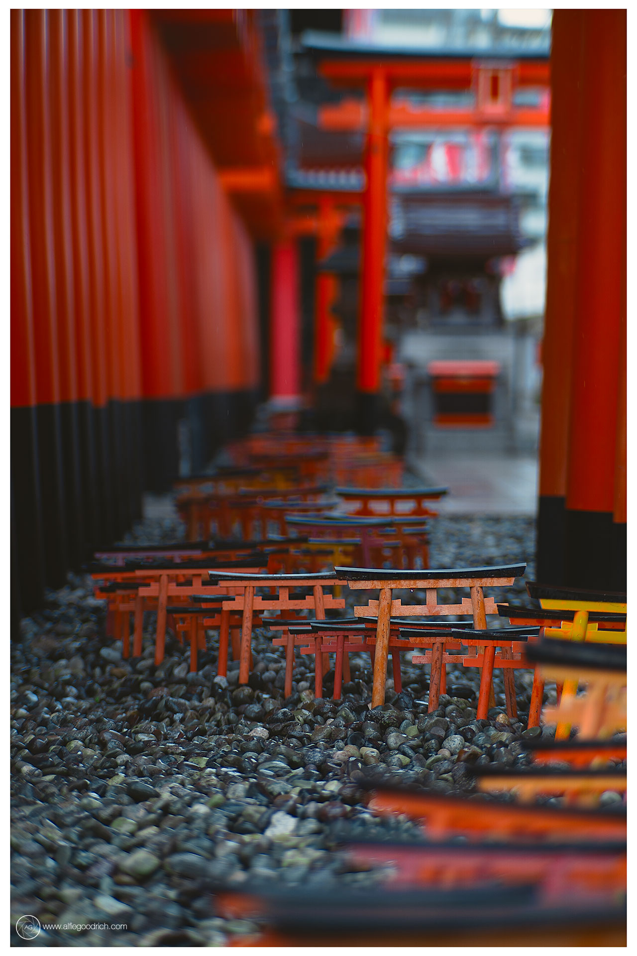 Photo walks in Toky: Anamori Inari shrine