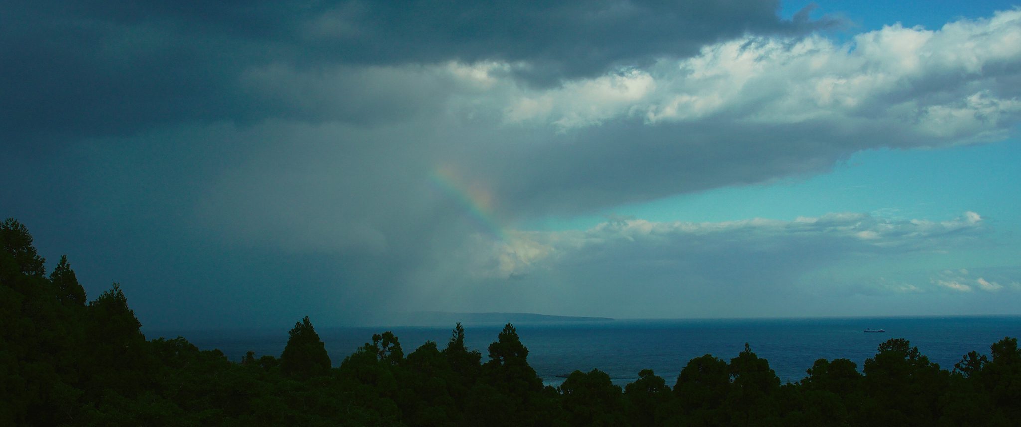 Impressions of Yakushima, Part 2