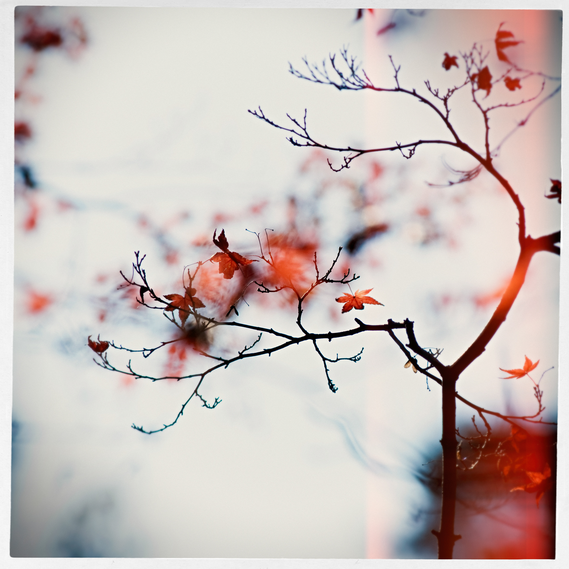 My online photography print store